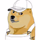 Major League Doge