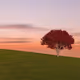 Magical Places V2