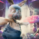 Rabbitus Wonderland