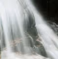 Nature's Driving Force - old
