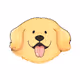 Golden Boi