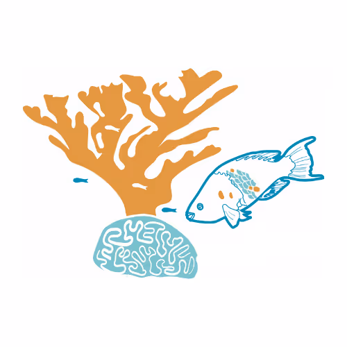 MesoReefDAO NFT rewards