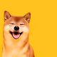 Dogeverse - old