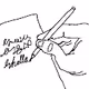 Word Drawings
