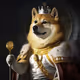 DogeAtMoon