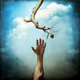 Life in Hand