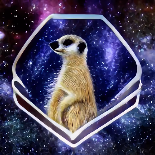 Parallel Meerkat Manor House