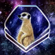 Parallel Meerkat Manor House