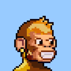 项目媒体占位符