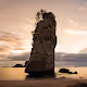 Kiwi Landscapes