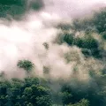 The World From Above