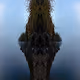 Landscape Mirrors