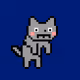 Bummer Cat