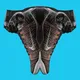 The Sneaker Factions