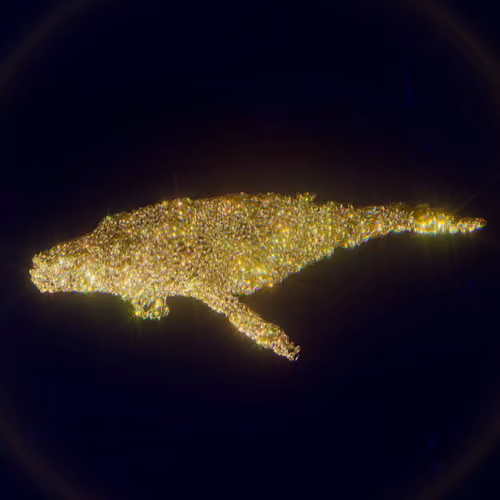 🐋  