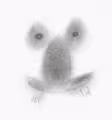 LazzyFrog