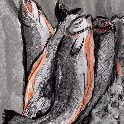 View From the Office