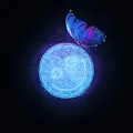 Butterfly_Protocol