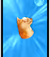 DOGECARDs_TOTHEMOON - old