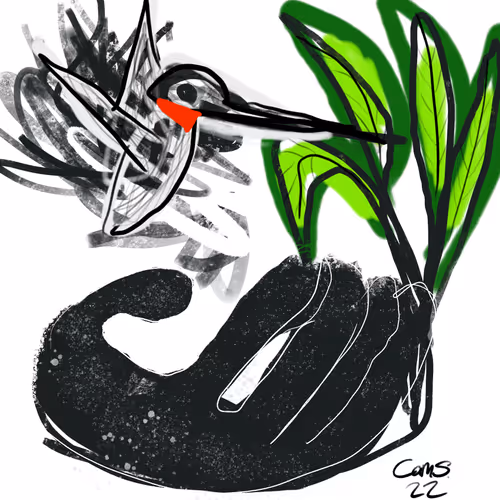 1/1's via Foundation