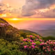 BigSunSet