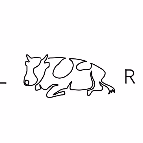 2 CHILL RANCH floor 0