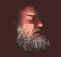 RoidBoid.com - old