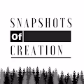 Snapshots of Creation