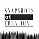 Snapshots of Creation