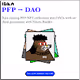 PFP → DAO