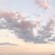 Pale Pink Dot