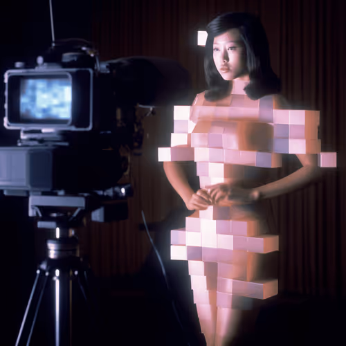 Pixelated Perception by Emi Kusano