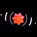 Black Champagne Animation - old