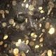 THE WOMEN WITH THE GOLDEN COINS
