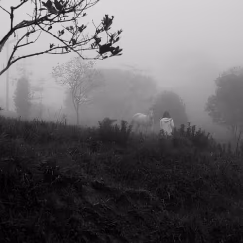 Singles by Bruno Mello