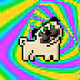 PsyDogs