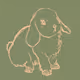 Bunny Bunch