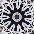 Kaleidoscopics