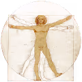 One Vitruvian man
