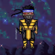 The Ninjas by Shido
