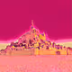 Stapeski's Fuschia Collection - old