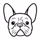 Ultimate French Bulldog Collection - UFBC