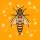 Bee Club Queen Bee
