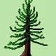 King of the Forest