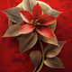 Christmas Flowers