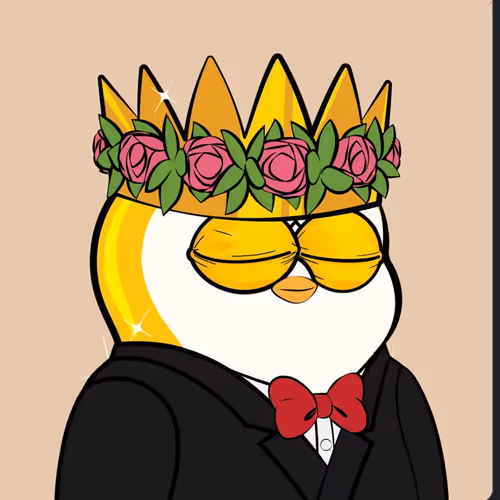 Raymoncalitri Collections