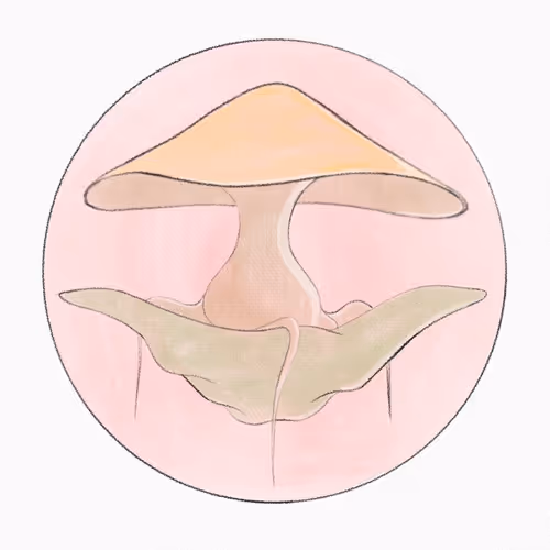 Pom's Foundation App