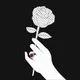 rose_selected