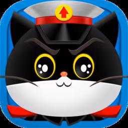 Black and White Cat Detective