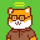 32x SHIBAS